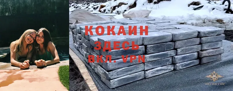 сколько стоит  Ардон  Cocaine Эквадор 